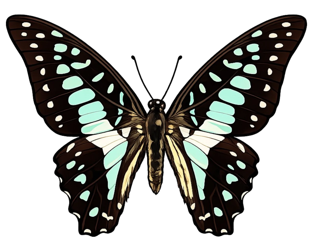 Open-wing dorsal study in Scott Schubr’s Graphium doson artwork.