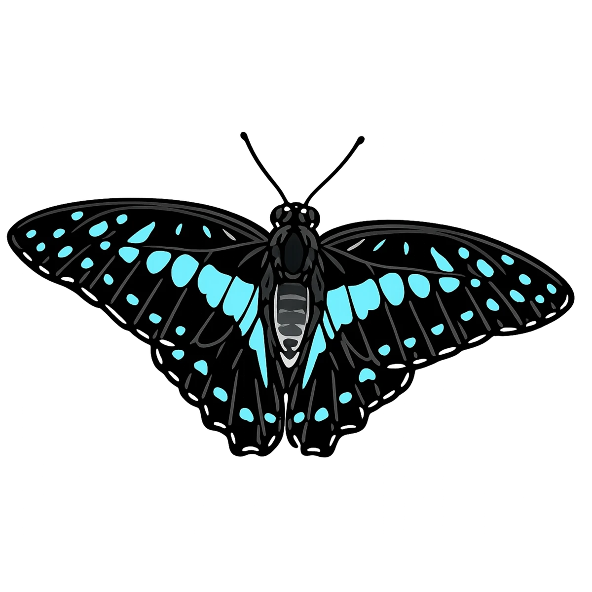 Upward flight study in Scott Schubr’s Graphium doson artwork.