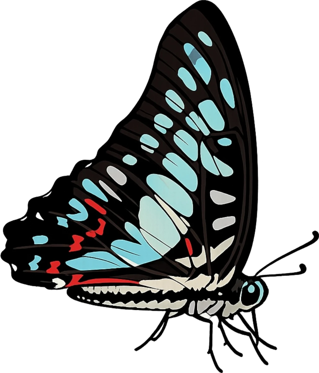 Right-facing standing study in Scott Schubr’s Graphium doson artwork.