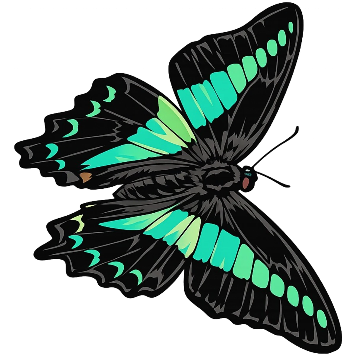 Rightward flight study in Scott Schubr’s Graphium sarpedon artwork.
