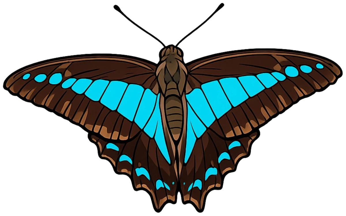 Upward glide study in Scott Schubr’s Graphium sarpedon artwork.