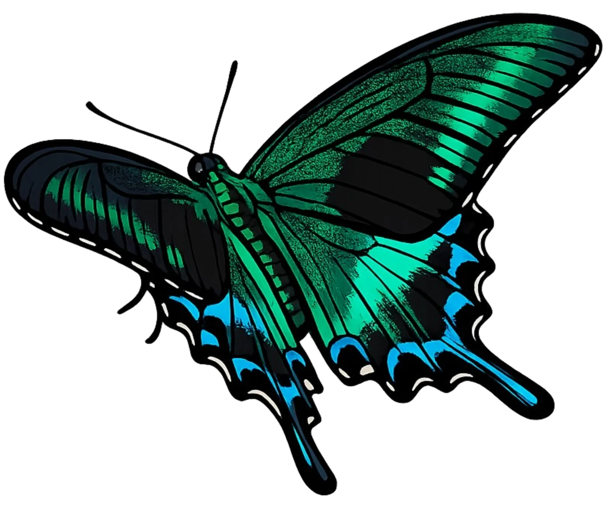 Leftward wingbeat study in Scott Schubr’s Papilio maackii artwork.
