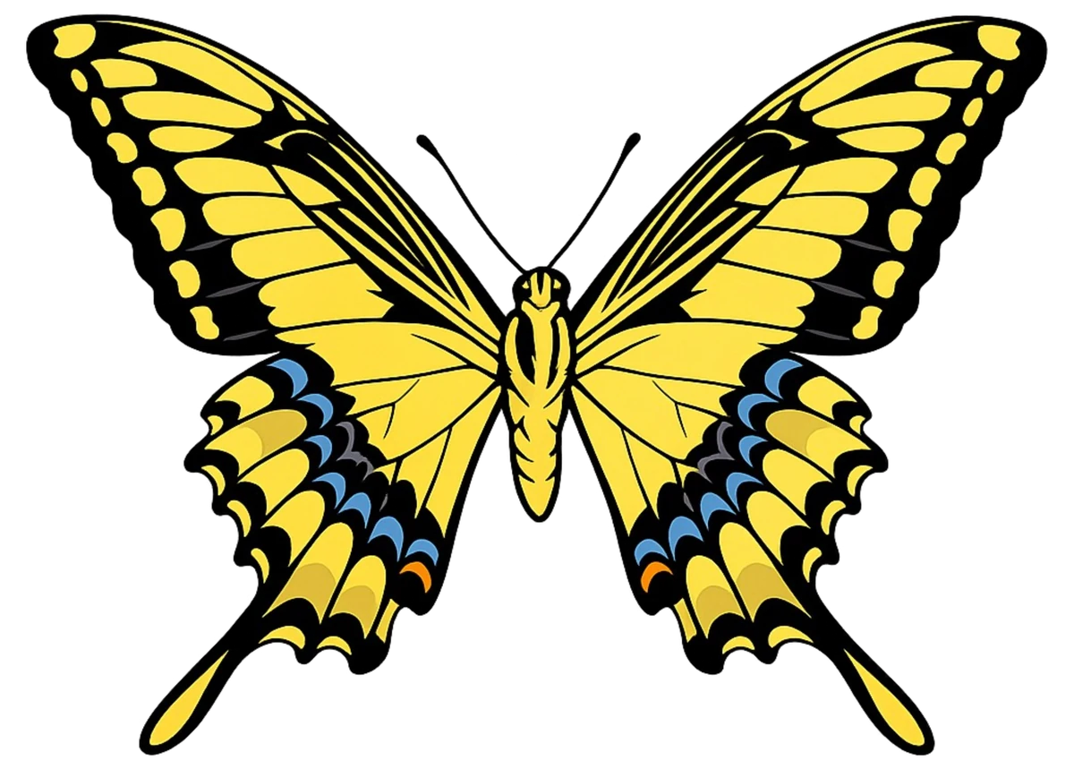 Open-wing ventral study in Scott Schubr’s Papilio thoas artwork.