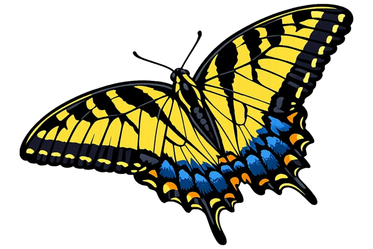 Upward left glide study in Scott Schubr’s Papilio thoas artwork.