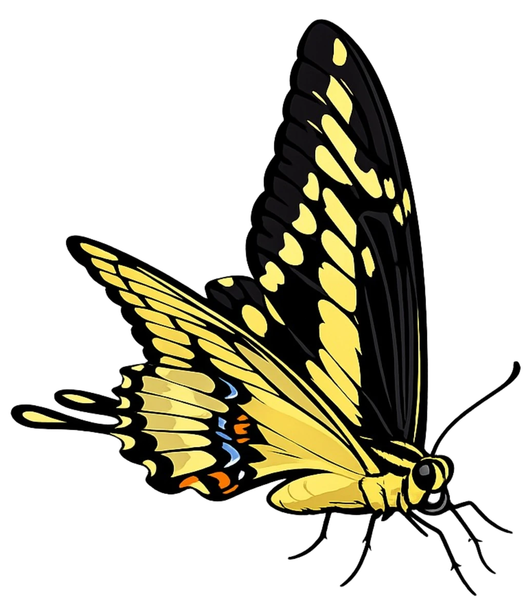 Right-facing perch study in Scott Schubr’s Papilio thoas artwork.
