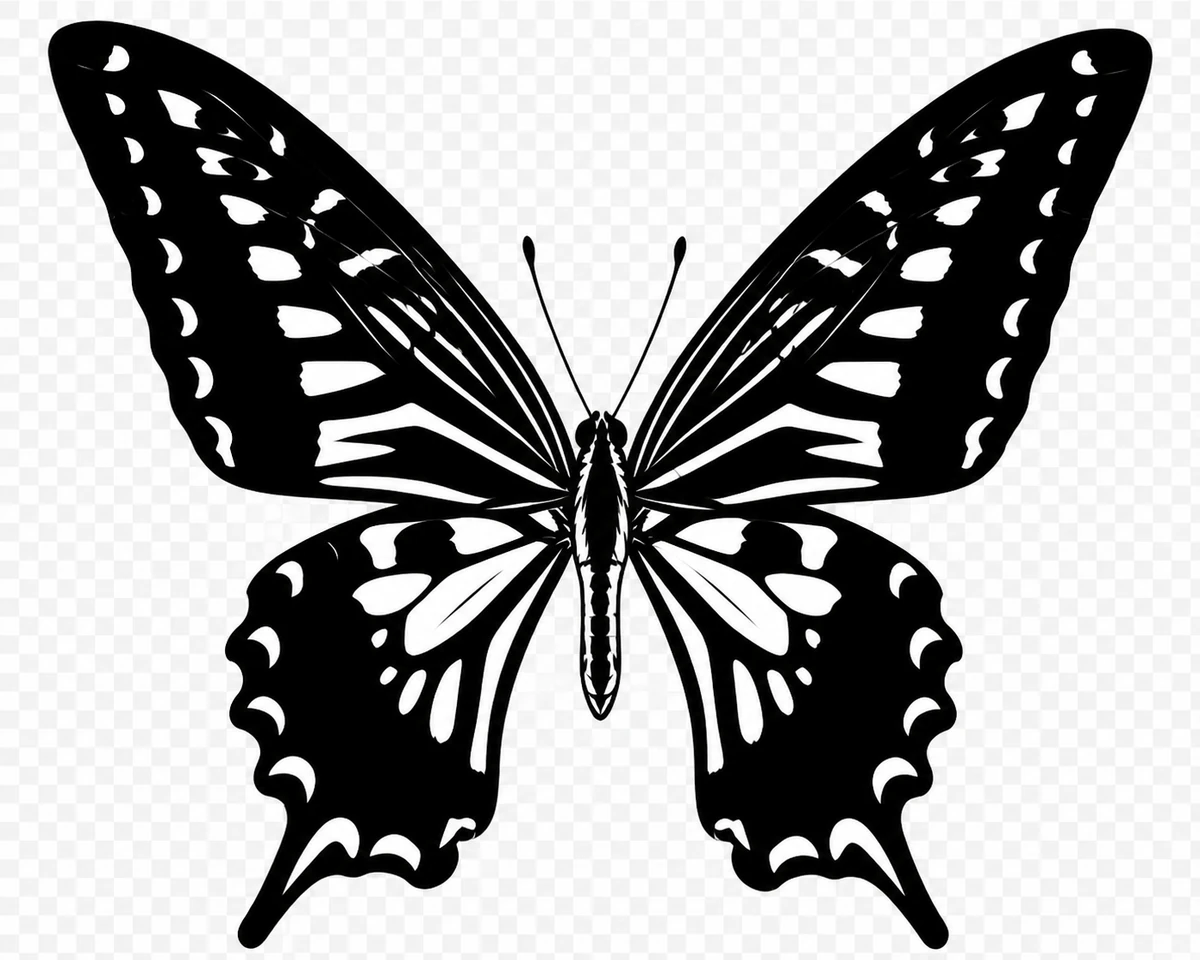 Open-wing dorsal study in Scott Schubr’s Papilio xuthus artwork.